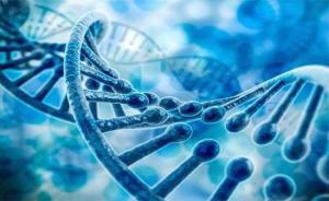 銳翌生物獲近億元A輪融資，魯信創投領投加速生物研發新突破